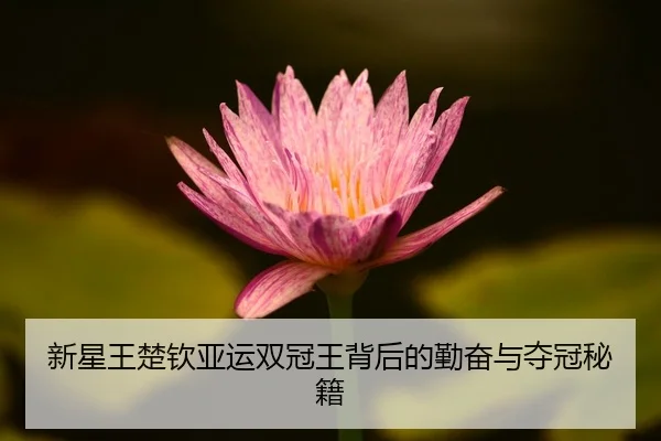 新星王楚钦亚运双冠王背后的勤奋与夺冠秘籍